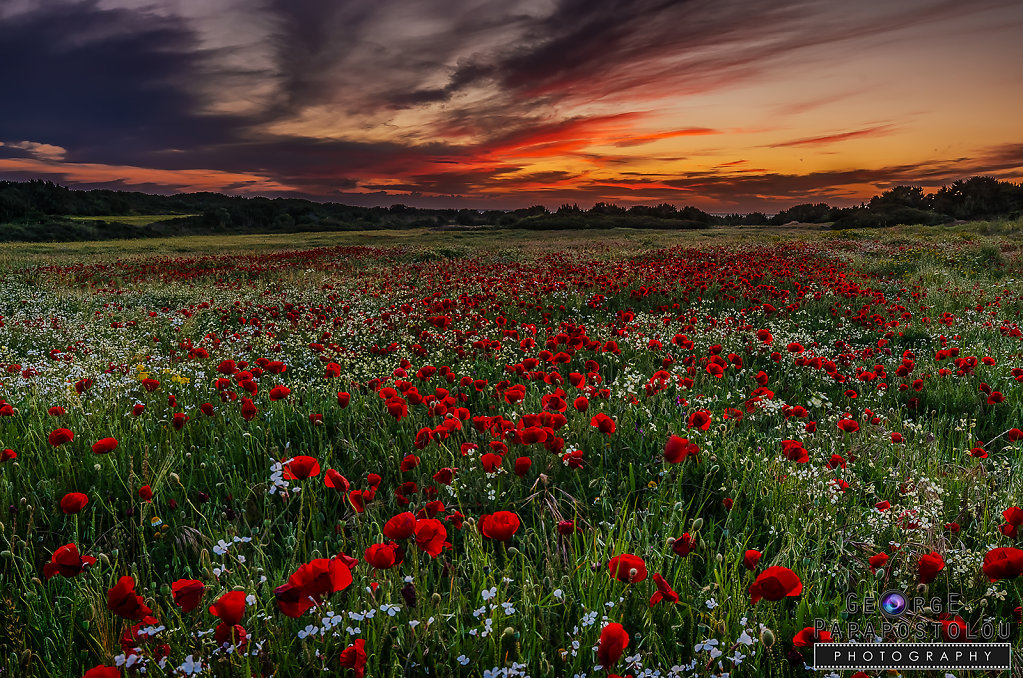 Spring landscape in Kos island